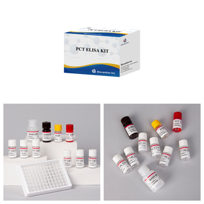 Kit di rilevamento per PCT per reagenti di rilevamento per plasma sierico umano