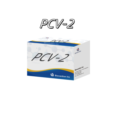 WB/S/P PCV-2 ELISA test per reagenti veterinari per anticorpi animali
