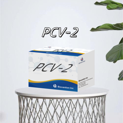 WB/S/P PCV-2 ELISA test per reagenti veterinari per anticorpi animali