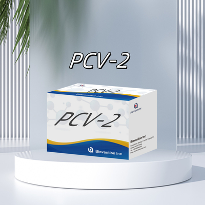 WB/S/P PCV-2 ELISA test per reagenti veterinari per anticorpi animali