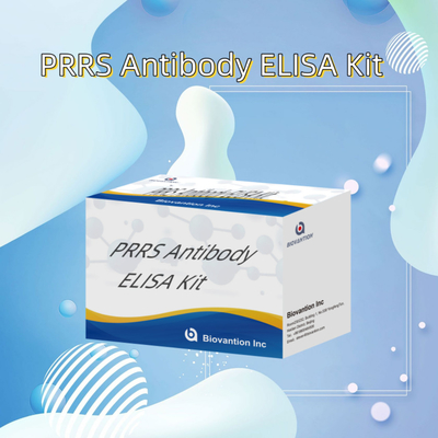 Test ELISA per il PRRSV animale Anticorpi PRRS suini Anticorpi veterinari Reagenti ivd