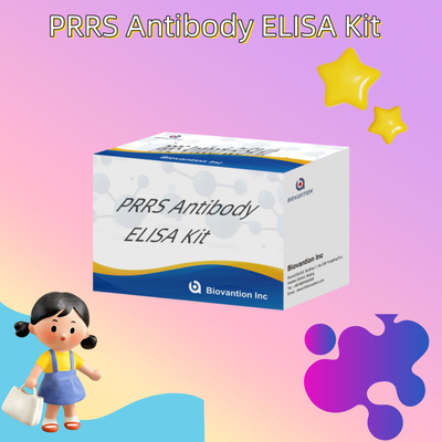 Test ELISA per il PRRSV animale Anticorpi PRRS suini Anticorpi veterinari Reagenti ivd