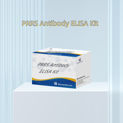 Test ELISA per il PRRSV animale Anticorpi PRRS suini Anticorpi veterinari Reagenti ivd