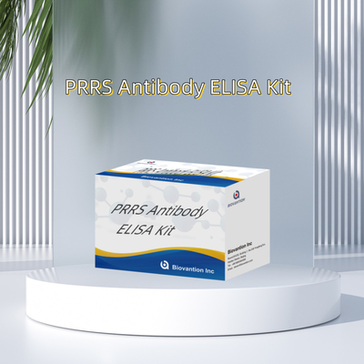 Test ELISA per il PRRSV animale Anticorpi PRRS suini Anticorpi veterinari Reagenti ivd
