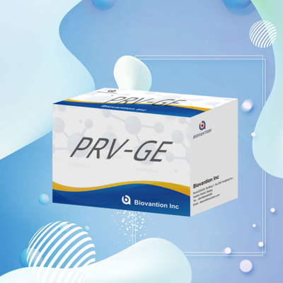 Kit di rilevazione per il reagente di rilevazione animale PRV-GE Kit ELISA per anticorpi