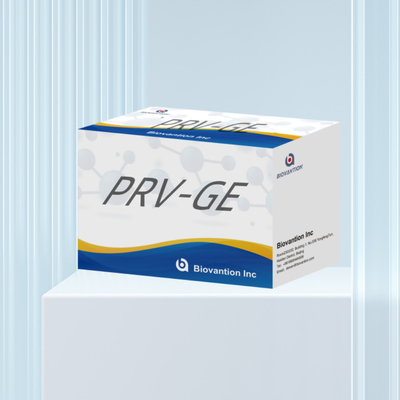 Kit di rilevazione per il reagente di rilevazione animale PRV-GE Kit ELISA per anticorpi