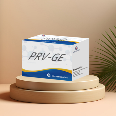Kit di rilevazione per il reagente di rilevazione animale PRV-GE Kit ELISA per anticorpi