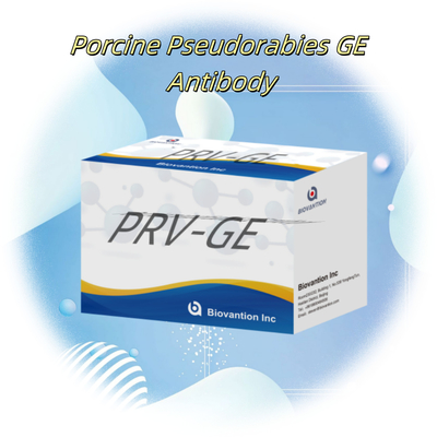 Kit di rilevazione per il reagente di rilevazione animale PRV-GE Kit ELISA per anticorpi