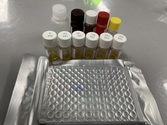 Metodo ELISA per il siero Bcl-2 del ratto Tipo di campione Serum ELISA RUO Test Kit Con 98% di specificità