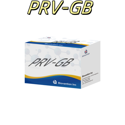 Specificità Kit di immunoassay ELISA per il reagente PRV per il rilevamento sierologico