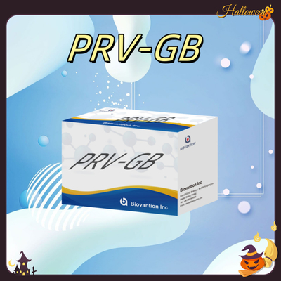 Specificità Kit di immunoassay ELISA per il reagente PRV per il rilevamento sierologico