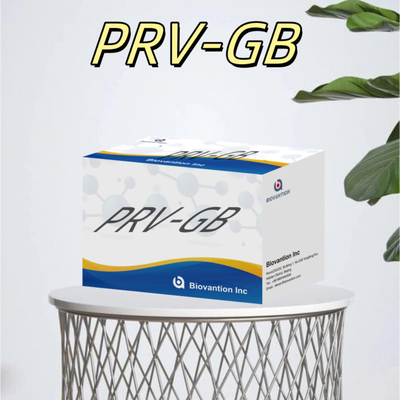 Specificità Kit di immunoassay ELISA per il reagente PRV per il rilevamento sierologico