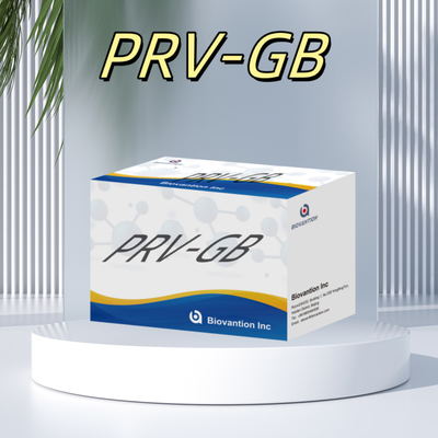 Specificità Kit di immunoassay ELISA per il reagente PRV per il rilevamento sierologico