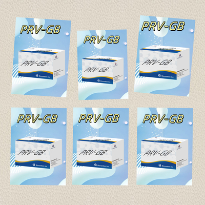 Specificità Kit di immunoassay ELISA per il reagente PRV per il rilevamento sierologico