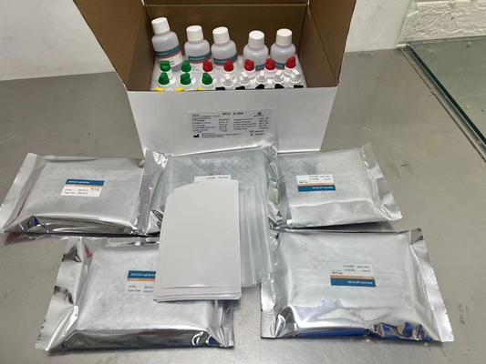 Sensibilità agli anticorpi HCV Siero Elisa Pre Rivestito Kit Elisa 10 Piastra di pozzo