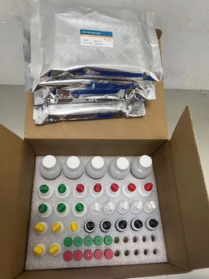 Sensibilità agli anticorpi HCV Siero Elisa Pre Rivestito Kit Elisa 10 Piastra di pozzo