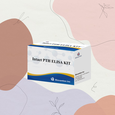 Kit di rilevamento per PTH intatto per reagente di rilevamento umano per plasma sierico umano