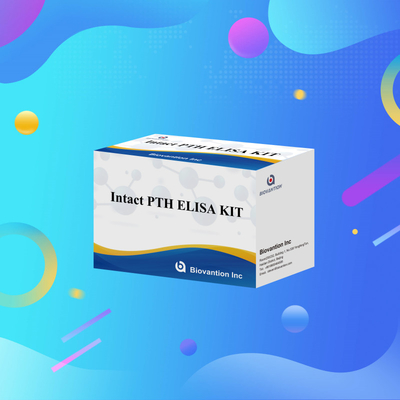 Kit di rilevamento per PTH intatto per reagente di rilevamento umano per plasma sierico umano