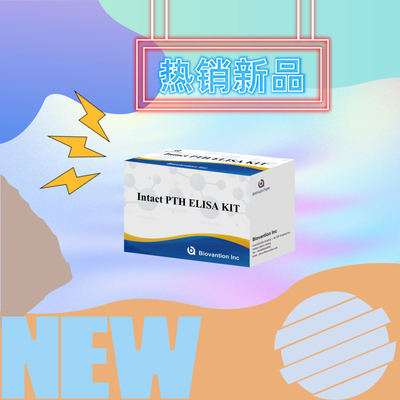Kit di rilevamento per PTH intatto per reagente di rilevamento umano per plasma sierico umano