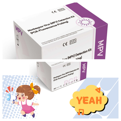 Reagente PCR per la rilevazione del virus della varicella da scimmia per una condizione di conservazione di amplificazione coerente 2-35