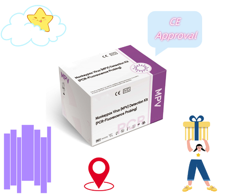 Reagente PCR per la rilevazione del virus della varicella da scimmia per una condizione di conservazione di amplificazione coerente 2-35