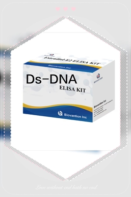 Anti-Ds-DNA IgG ELISA Test Kit Anticorpo qualitativo anti DNA a doppio filamento