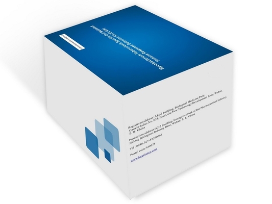 Accuratezza e sensibilità del kit di prova Elisa per la diagnosi rapida e facile della tubercolosi IGRA ELISA