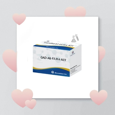 Test kit GAD-Ab ELISA Acido glutammico decarbossilasi Anticorpi Immunosorbente