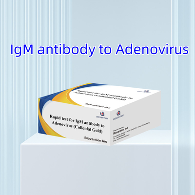 Test rapido adeno-virus altamente sensibile IgM Test rapido oro colloidale per professionisti del settore medico