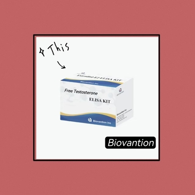 Testosterone libero Test gratuito ELISA Kit di prova Principio competitivo-ELISA