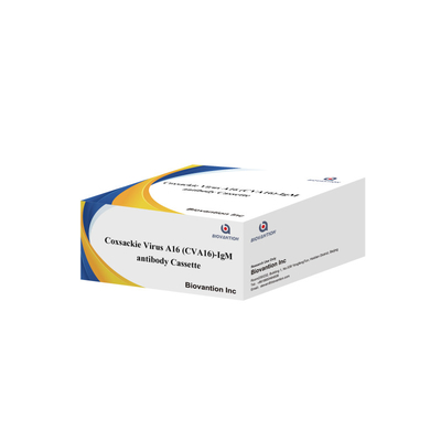 Anticorpo del virus di Coxsackie A16 CVA16-IgM Cassetta WB/S/P Test rapido dell'oro colloidale