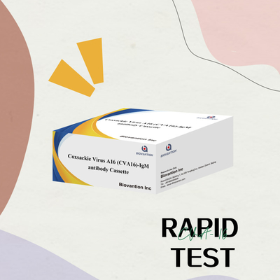 Anticorpo del virus di Coxsackie A16 CVA16-IgM Cassetta WB/S/P Test rapido dell'oro colloidale