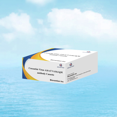 Anticorpo del virus di Coxsackie A16 CVA16-IgM Cassetta WB/S/P Test rapido dell'oro colloidale