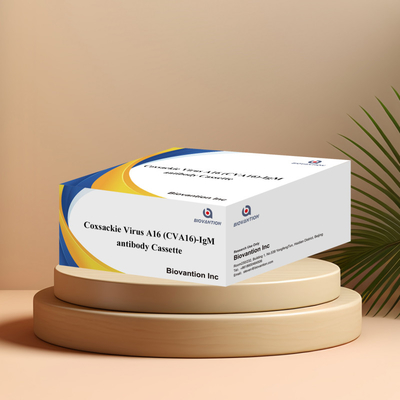 Anticorpo del virus di Coxsackie A16 CVA16-IgM Cassetta WB/S/P Test rapido dell'oro colloidale
