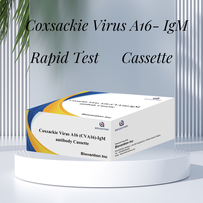 Anticorpo del virus di Coxsackie A16 CVA16-IgM Cassetta WB/S/P Test rapido dell'oro colloidale