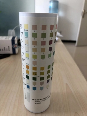 Analisi delle urine Striscia di prova Metodo chimico secco Urina-H-11 Urina-H-10 Urina-H-8