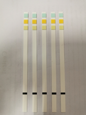 Analisi delle urine Striscia di prova Metodo chimico secco Urina-H-11 Urina-H-10 Urina-H-8
