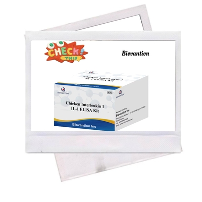 IL 1 ELISA Test Kit Interleuchina-1 Siero Umano E Immunoassay Plasmatico