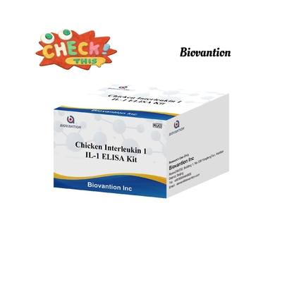IL 1 ELISA Test Kit Interleuchina-1 Siero Umano E Immunoassay Plasmatico