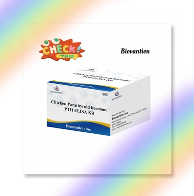 PTH ELISA Test Kit Serumo di ormone paratiroideo immunosorbente legato agli enzimi di pollo