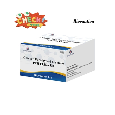 PTH ELISA Test Kit Serumo di ormone paratiroideo immunosorbente legato agli enzimi di pollo