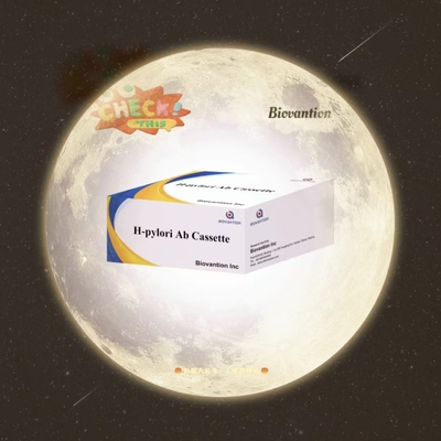 H. Pylori Ab Rapid Test Cassette Siero Immunochromatographic Detection