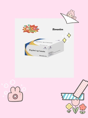 H. Pylori Ag Rapid Test Cassette Reagente diagnostico in vitro (Reagenti IVD)