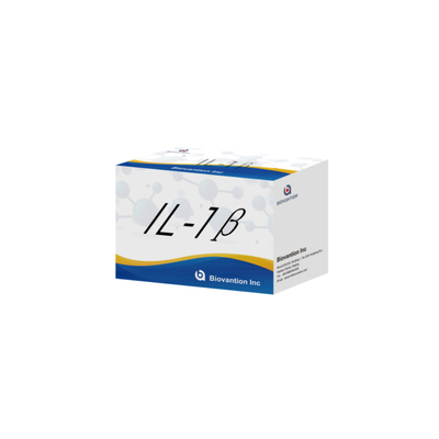 IL-1β Sensitive ELISA Kit per uso in ricerca con sensibilità del 95% e 6 mesi