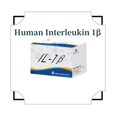 IL-1β Sensitive ELISA Kit per uso in ricerca con sensibilità del 95% e 6 mesi