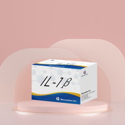 IL-1β Sensitive ELISA Kit per uso in ricerca con sensibilità del 95% e 6 mesi