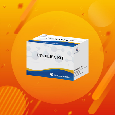 FT4 Kit Elisa con 95% di sensibilità Reagente di prova in vitro per uso umano