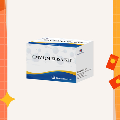 Test ELISA qualitativo IgM dei macrofagi Kit sperimentale IVD Altamente sensibile