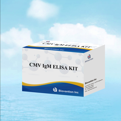 Test ELISA qualitativo IgM dei macrofagi Kit sperimentale IVD Altamente sensibile