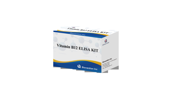 Vitamina B1 Kit di prova Elisa Prova su animali di prodotti legati all' enzima RICERCA USO SOLO